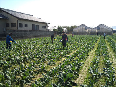 仁木農園11101639