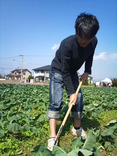 仁木農園11101640