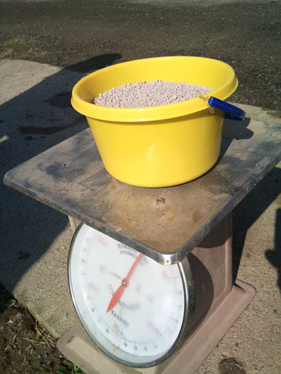 仁木農園11101630