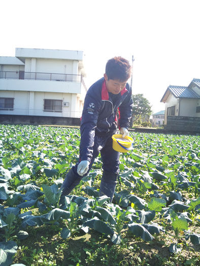 仁木農園11101629