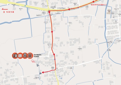 鎌田農園マップ