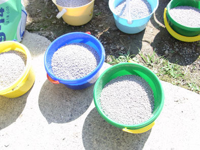 仁木農園11101632