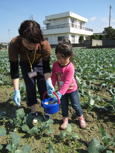 仁木農園11101633