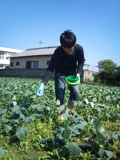 仁木農園11101624