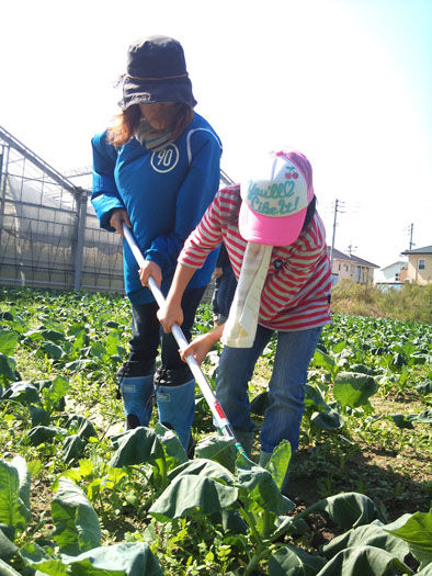 仁木農園11101641