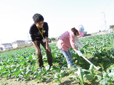 仁木農園11101611