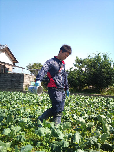 仁木農園11101623