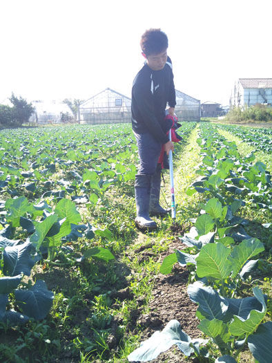 仁木農園11101610