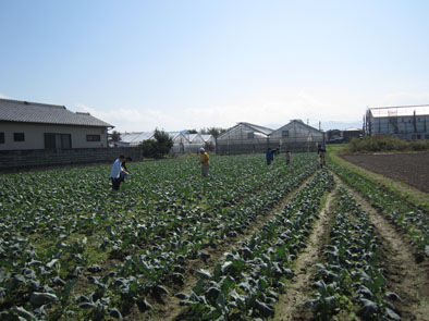 仁木農園1110166