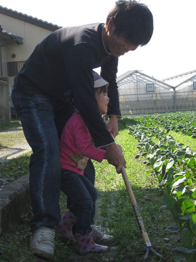 仁木農園11101614