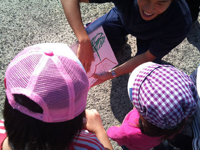 仁木農園11101628