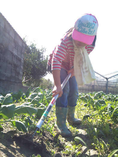 仁木農園11101616