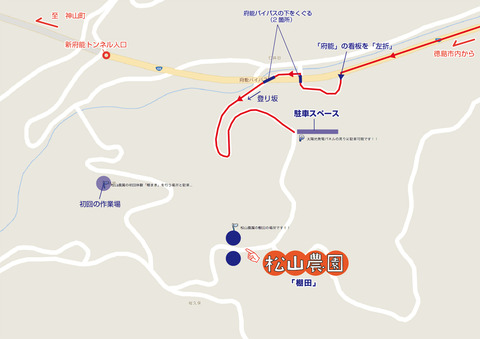 松山農園_棚田