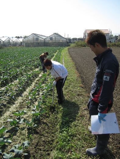 仁木農園11101613