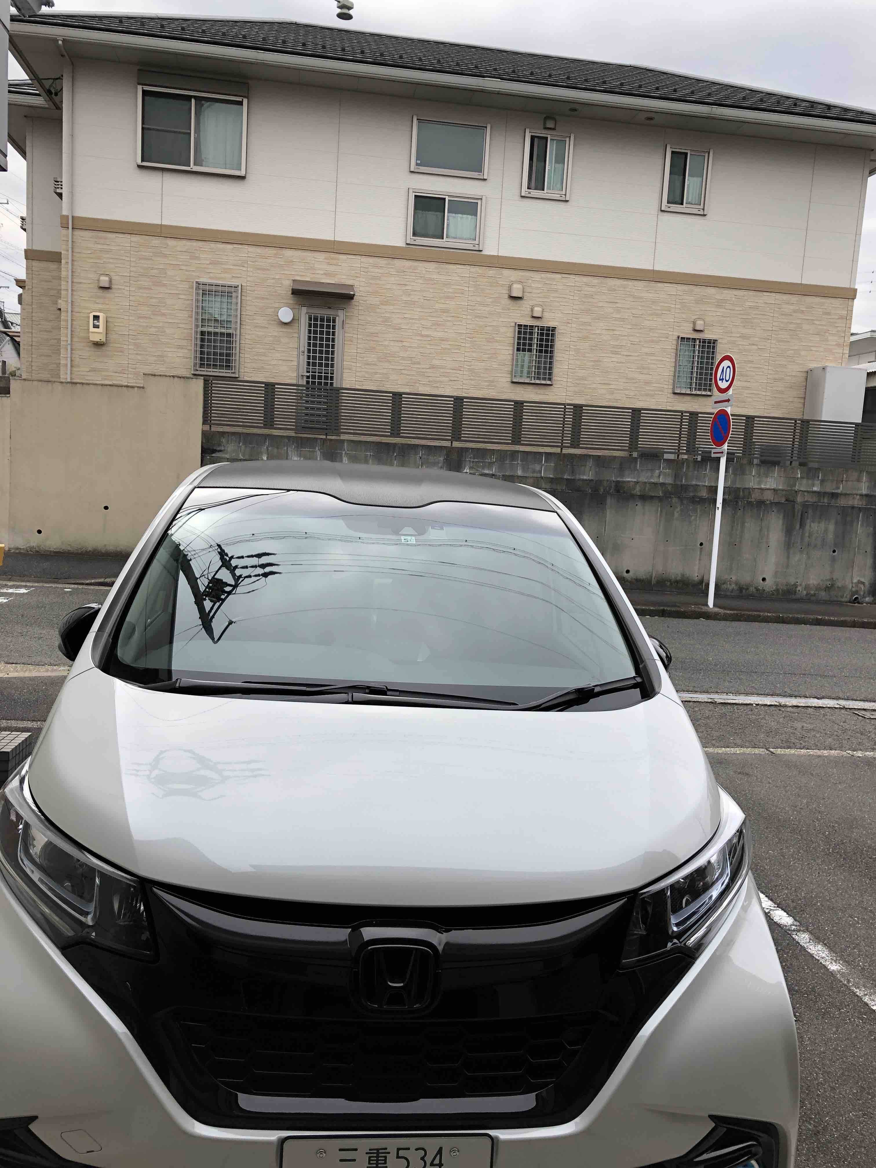 フリード黒マスク 我家記