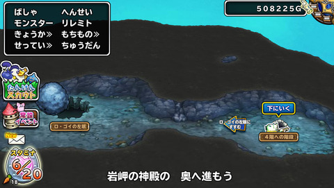 6月11日 (9)