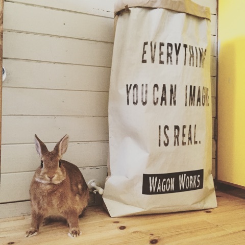 {39BC8992-05E9-454A-A760-D0C8AA8200A1:01}