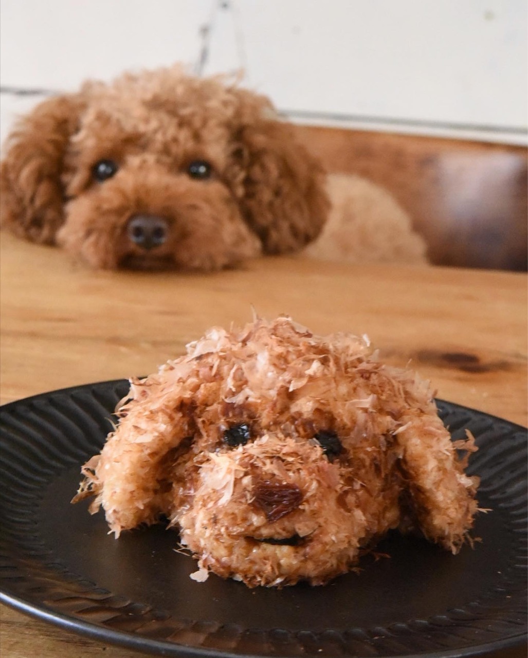 久しぶりに作った料理がトイプードルおにぎり 家族全員から食べるのを拒否された その理由が Studio In The Afternoon リノベーションとお家収納diy Wagon Worksブログ Powered By ライブドアブログ