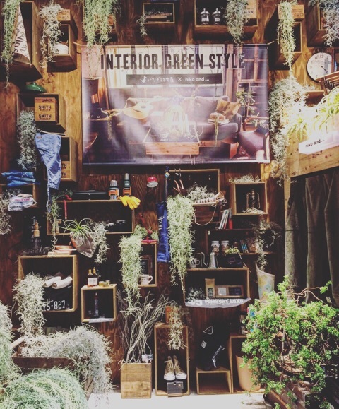 {2F861401-8755-476E-8CD3-E585254E3C2A}