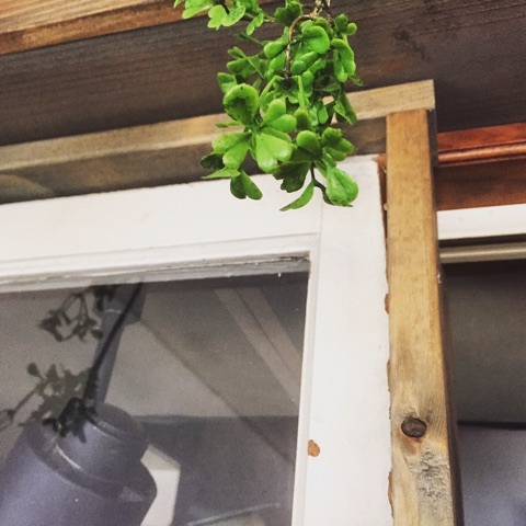 {A64896D3-6520-4A8D-BEB9-C8E4EB68F33F}