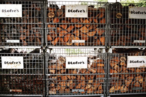 写真 2017-06-12 12 25 03