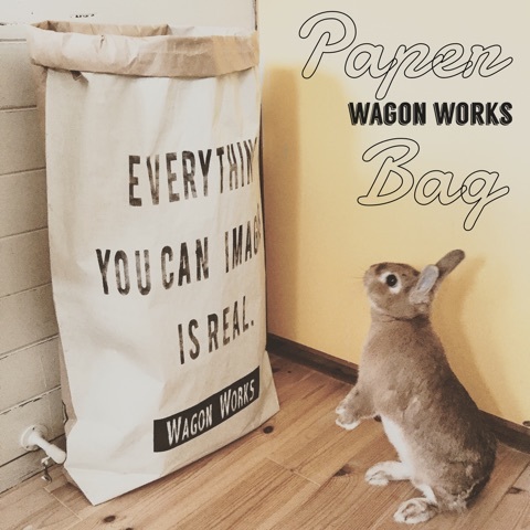 {CAE7B840-157D-4826-9CC8-DF9CA4668E4E:01}