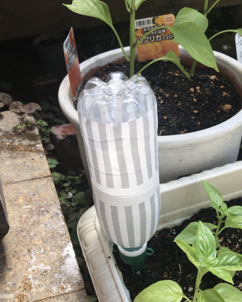 写真 2019-07-20 午後8 04 27