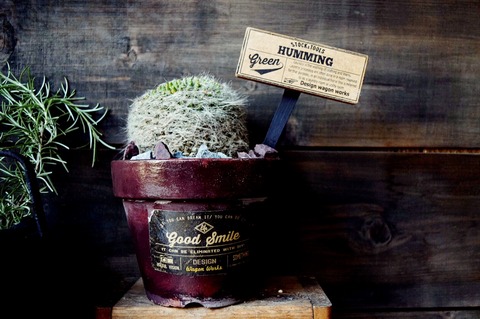 写真 2017-05-27 16 50 05