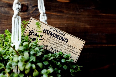 写真 2017-05-27 16 53 53