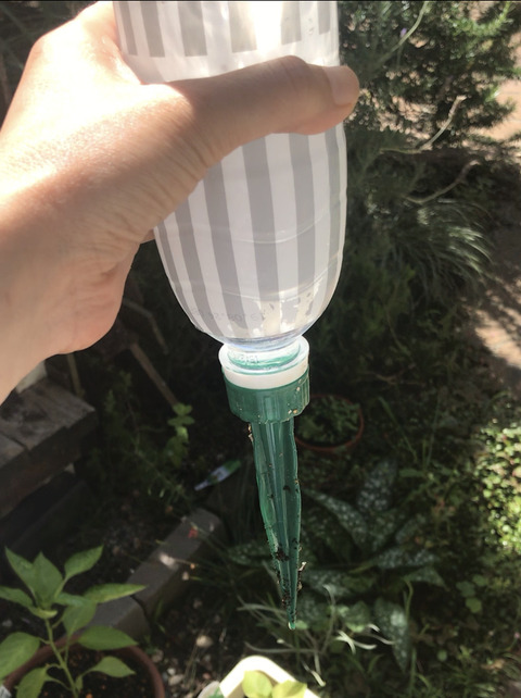 写真 2019-07-20 午後8 04 11