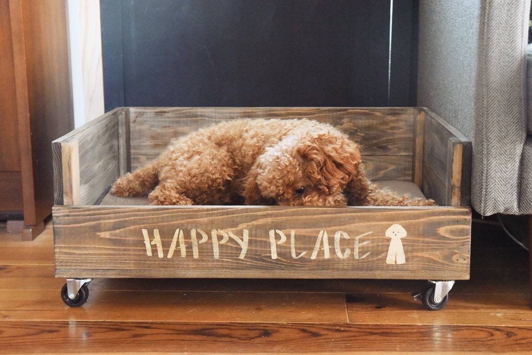 犬のベッドをdiy 100均すのこでワンコのひんやり冷たいベットの作り方 すのこの使い方と完成後の愛犬チロルの使用レポ編 Studio In The Afternoon リノベーションとお家収納diy Wagon Worksブログ Powered By ライブドアブログ 犬のベッドをdiy 100均すのこでワンコのひんやり冷たいベットの作り方 すのこの使い方と完成後の愛犬チロルの使用レポ編 Studio In The Afternoon リノベーションとお家収納diy Wagon Worksブログ Powered By ライブドアブログ