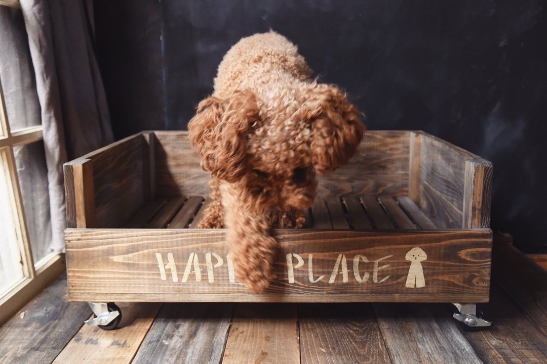 犬のベッドをdiy 100均すのこでワンコのひんやり冷たいベットの作り方 すのこの使い方と完成後の愛犬チロルの使用レポ編 Studio In The Afternoon リノベーションとお家収納diy Wagon Worksブログ Powered By ライブドアブログ