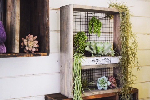 {F192EF05-5E0A-447F-8058-411109D40525}