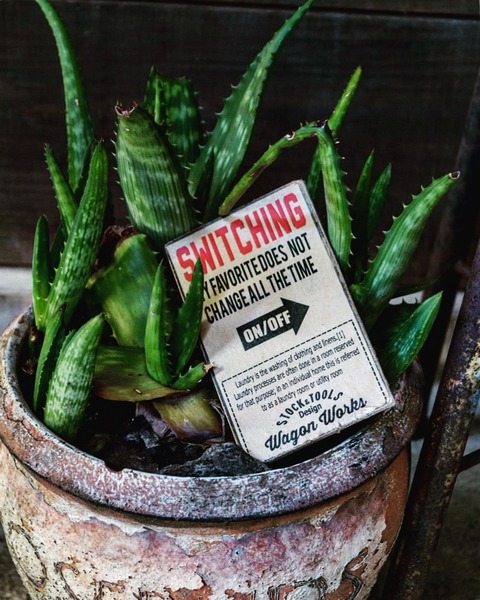 写真 2017-05-27 16 52 14