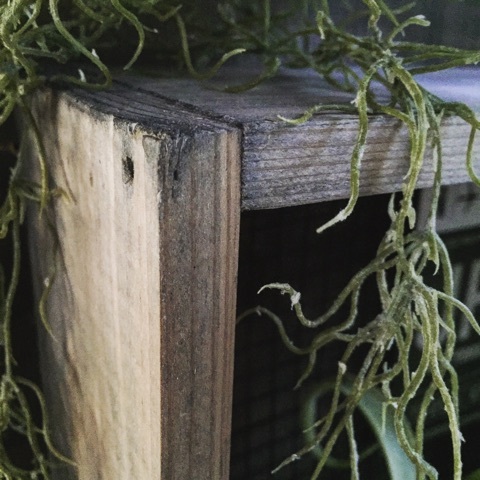 {3134124B-EF96-47A4-BAD4-5F3FD32BB4FE}