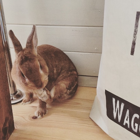 {BA823CD9-6496-4AF4-B04B-A0EEE6E71771:01}