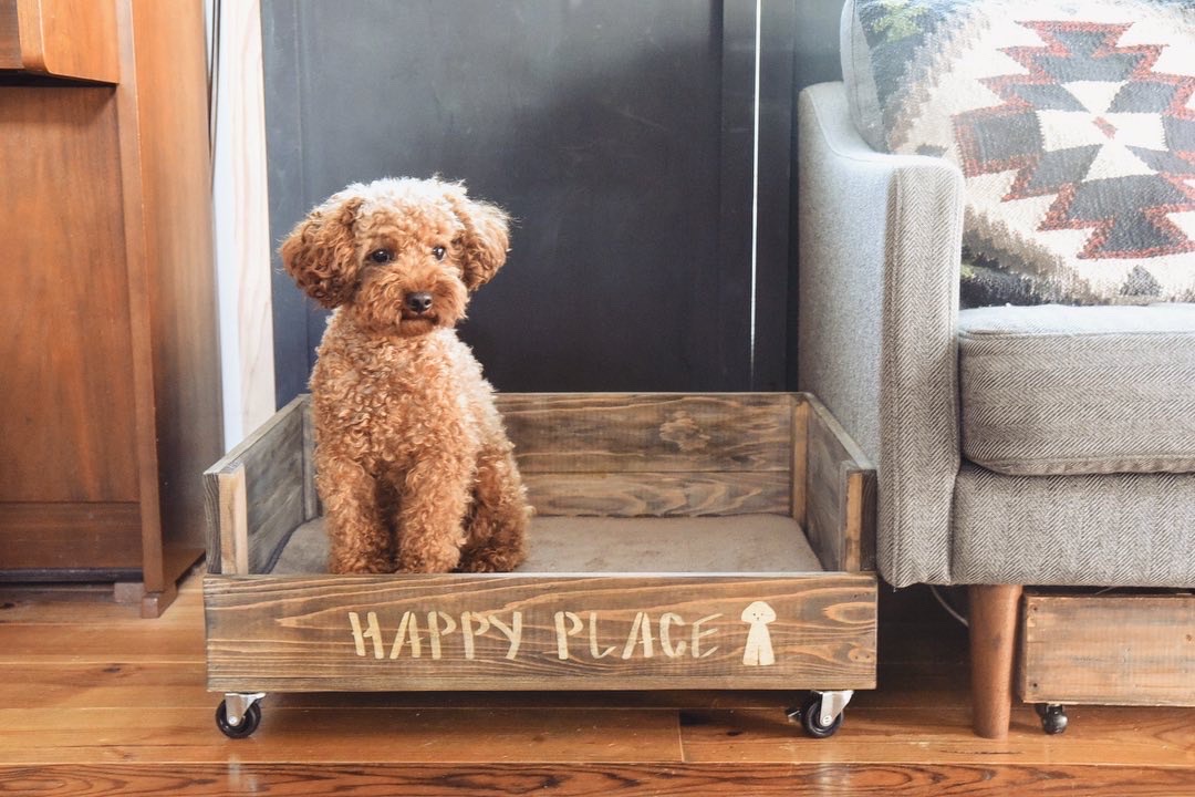 犬のベッドをdiy 100均すのこでワンコのひんやり冷たいベットの作り方 すのこの使い方と完成後の愛犬チロルの使用レポ編 Studio In The Afternoon リノベーションとお家収納diy Wagon Worksブログ Powered By ライブドアブログ 犬のベッドをdiy 100均すのこでワンコのひんやり冷たいベットの作り方 すのこの使い方と完成後の愛犬チロルの使用レポ編 Studio In The Afternoon リノベーションとお家収納diy Wagon Worksブログ Powered By ライブドアブログ
