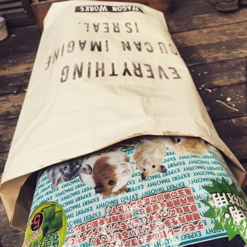 {9A4BE421-46B5-40E3-812D-FC296EF21858:01}