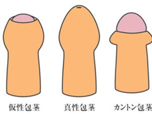 ペニスを大きくするエクササイズ Youtube