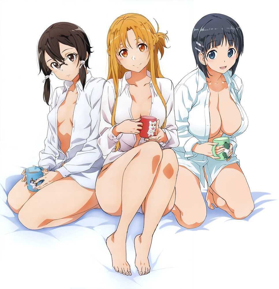 もし自分がsaoのキリトだったらアスナ選ぶか 直葉かユイかアドミニストレーターかアリス以外に選択肢無くね なろう系まとめ速報
