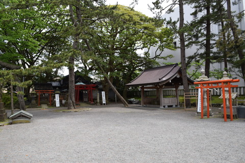DSC_0024(1)