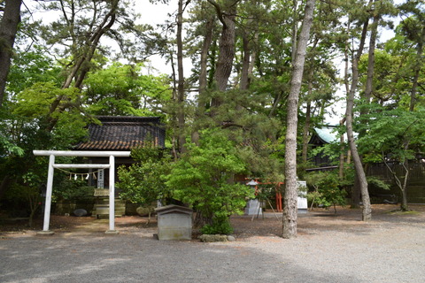 DSC_0026(2)