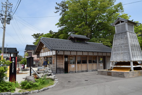 DSC_0028(3)