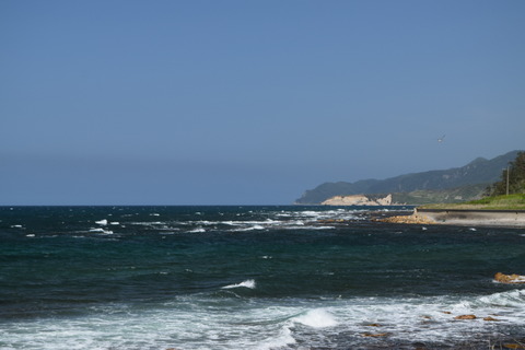DSC_0050
