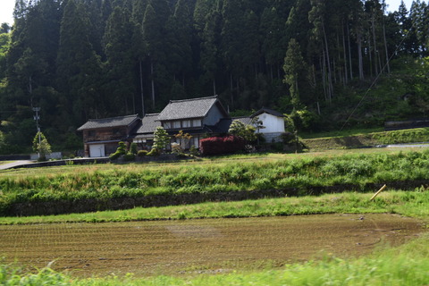 DSC_0061