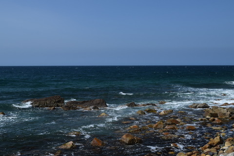 DSC_0049(3)