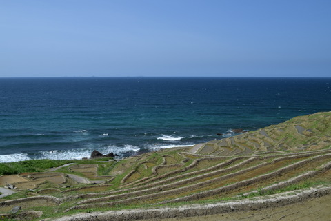 DSC_0043(2)