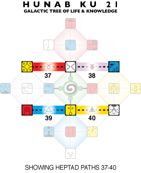 heptad_path37-40