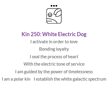 kin250