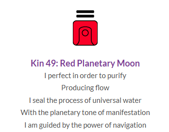kin49